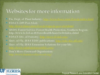 Fla. Dept. of Plant Industry:  http://www.doacs.state.fl.us/pi/index.html FDACS-DPI Pest Alert:  http://www.doacs.state.fl.us/pi/enpp/pi-pest-alert.html USDA-Forest Service-Forest Health Protection, Southern Region: http://www.fs.fed.us/r8/foresthealth/laurelwilt/index.shtml FDACS Div. of Forestry:  http://www.fl-dof.com/ Univ. of Fla.-IFAS EDIS publications:  http://edis.ifas.ufl.edu/ Univ. of Fla.-IFAS Extension Solutions for your life:  http://www.solutionsforyourlife.com/ Don’t Move Firewood Organization:  http://www.dontmovefirewood.org/   