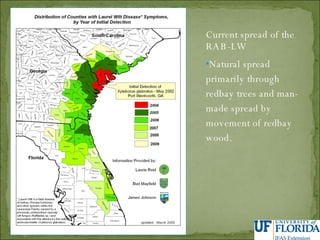 Current spread of the RAB-LW Natural spread primarily through redbay trees and man-made spread by movement of redbay wood.  