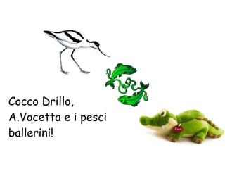Cocco Drillo, A.Vocetta e i pesci ballerini! 
