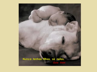 Nunca  tenhas  filhos,  só  netos.   Gore  Vidal 