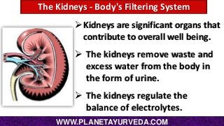 The Kidneys - Body's Filtering System
Kidneys are significant organs that
contribute to overall well being.

 The kidneys remove waste and
excess water from the body in
the form of urine.
 The kidneys regulate the
balance of electrolytes.
WWW.PLANETAYURVEDA.COM

 