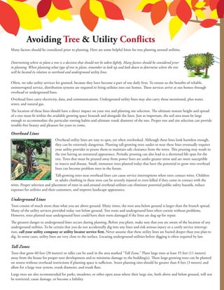 Avoiding Tree & Utility Conflicts
Many factors should be considered prior to planting. Here are some helpful hints for tree planting around utilities.
Determining where to plant a tree is a decision that should not be taken lightly. Many factors should be considered prior
to planting. When planning what type of tree to plant, remember to look up and look down to determine where the tree
will be located in relation to overhead and underground utility lines.
Often, we take utility services for granted, because they have become a part of our daily lives. To ensure us the benefits of reliable,
uninterrupted service, distribution systems are required to bring utilities into our homes. These services arrive at our homes through
overhead or underground lines.
Overhead lines carry electricity, data, and communications. Underground utility lines may also carry those mentioned, plus water,
sewer, and natural gas.
The location of these lines should have a direct impact on your tree and planting site selection. The ultimate mature height and spread
of a tree must fit within the available growing space beneath and alongside the lines. Just as important, the soil area must be large
enough to accommodate the particular rooting habits and ultimate trunk diameter of the tree. Proper tree and site selection can provide
trouble-free beauty and pleasure for years to come.
Overhead Lines
Overhead utility lines are easy to spot, yet often overlooked. Although these lines look harmless enough,
they can be extremely dangerous. Planting tall-growing trees under or near these lines eventually requires
your utility provider to prune them to maintain safe clearance from the wires. This pruning may result in
the tree having an unnatural appearance. Periodic pruning can also lead to a shortened life span for the
tree. Trees that must be pruned away from power lines are under greater stress and are more susceptible
to insects and disease. Small, immature trees planted today that have the potential to grow into overhead
lines can become problem trees in the future.
Tall-growing trees near overhead lines can cause service interruptions when trees contact wires. Children
or adults climbing in these trees can be severely injured or even killed if they come in contact with the
wires. Proper selection and placement of trees in and around overhead utilities can eliminate potential public safety hazards, reduce
expenses for utilities and their customers, and improve landscape appearance.
Underground Lines
Trees consist of much more than what you see above ground. Many times, the root area below ground is larger than the branch spread.
Many of the utility services provided today run below ground. Tree roots and underground lines often coexist without problems.
However, trees planted near underground lines could have their roots damaged if the lines are dug up for repair.
The greatest danger to underground lines occurs during planting. Before you plant, make sure that you are aware of the location of any
underground utilities. To be certain that you do not accidentally dig into any lines and risk serious injury or a costly service interrup-
tion, call your utility company or utility locator service first. Never assume that these utility lines are buried deeper than you plan to
dig. In some cases, utility lines are very close to the surface. Locating underground utilities before digging is often required by law.
Tall Zones
Trees that grow 60 feet (20 meters) or taller can be used in the area marked “Tall Zone.” Plant large trees at least 35 feet (11 meters)
away from the house for proper root development and to minimize damage to the building(s). These large-growing trees can be planted
on streets without overhead restrictions if planting space is sufficient. Street planting sites should be greater than 8 feet (3 meters) and
allow for a large root system, trunk diameter, and trunk flare.
Large trees are also recommended for parks, meadows, or other open areas where their large size, both above and below ground, will not
be restricted, cause damage, or become a liability.
 