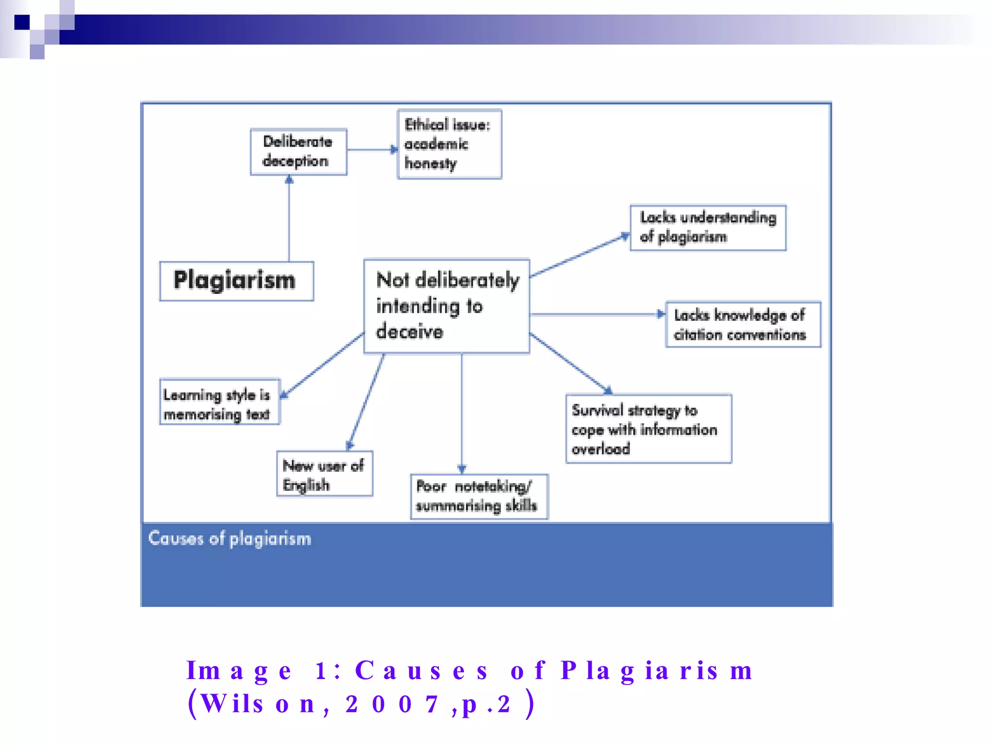 Image 1: Causes of Plagiarism (Wilson, 2007,p.2) 