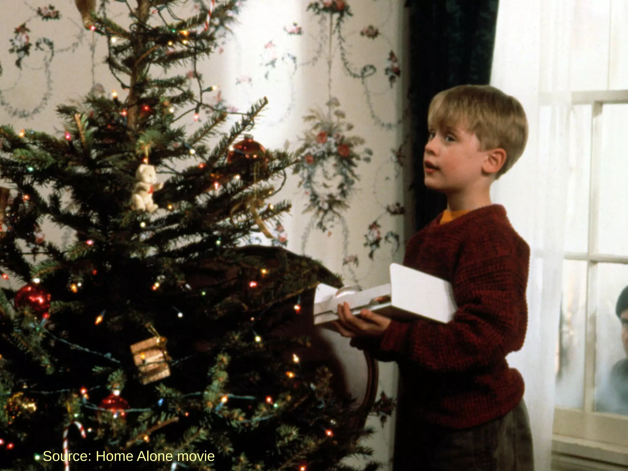 Source: Home Alone movie
 