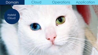 Hybrid
Cloud
Domain Cloud Operations Application
 