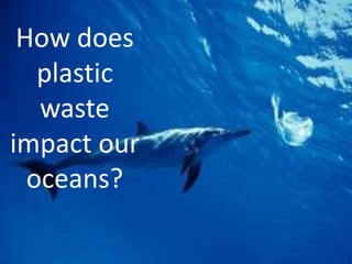 How does
   plastic
   waste
impact our
  oceans?
 