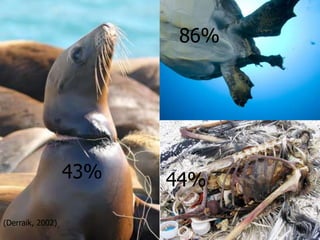 86%




                  43%   44%

(Derraik, 2002)
 