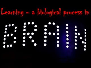 Avoid The Conference Zombie Zone