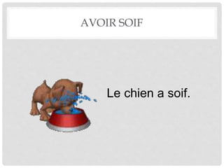 AVOIR SOIF 
Le chien a soif. 
 