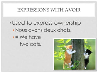 EXPRESSIONS WITH AVOIR 
•Used to express ownership 
•Nous avons deux chats. 
• = We have 
two cats. 
 