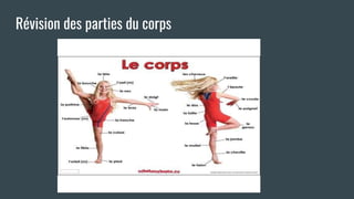 Révision des parties du corps
 