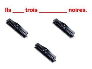 Ils ____ trois __________ noires.

 
