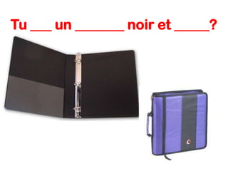 Tu ___ un _______ noir et _____?

 