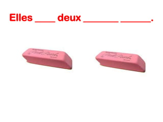 Elles ____ deux _______ ______.

 