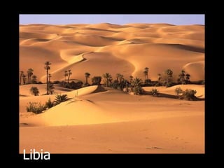 Libia 