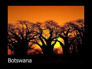 Botswana 