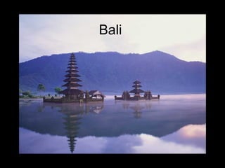 Bali
 