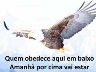 Quem obedece aqui em baixo
Amanhã por cima vai estar
 