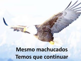 Mesmo machucados
Temos que continuar
 