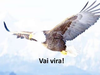Vai vira!
 
