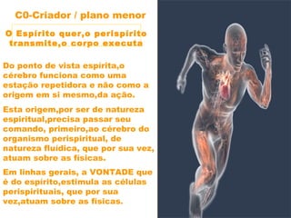 Do ponto de vista espírita,o
cérebro funciona como uma
estação repetidora e não como a
origem em si mesmo,da ação.
Esta origem,por ser de natureza
espiritual,precisa passar seu
comando, primeiro,ao cérebro do
organismo perispiritual, de
natureza fluídica, que por sua vez,
atuam sobre as físicas.
Em linhas gerais, a VONTADE que
é do espírito,estimula as células
perispirituais, que por sua
vez,atuam sobre as físicas.
 
C0-Criador / plano menor
 
O Espírito quer,o perispírito
transmite,o corpo executa
 