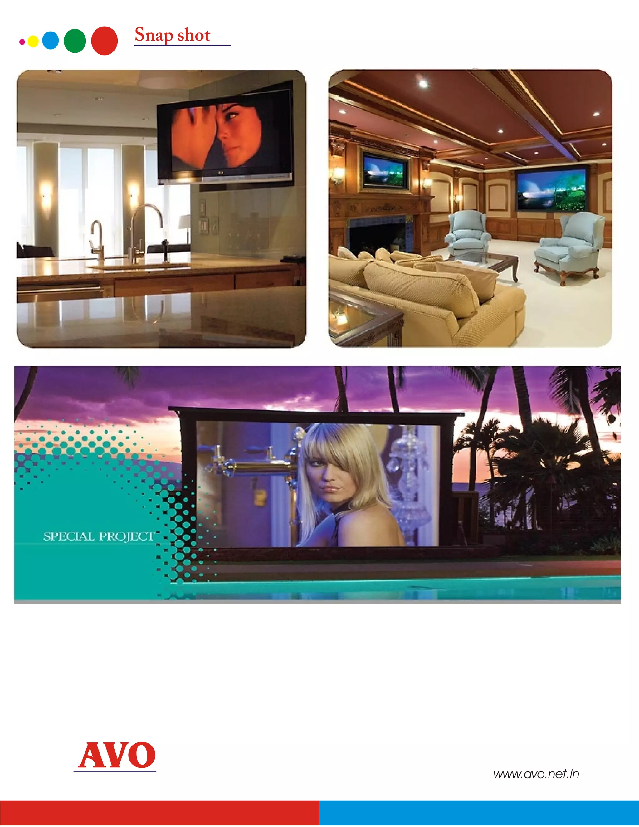 Snap shot




AVO           www.avo.net.in
 