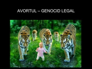 Avortul – genocid legal AVORTUL – GENOCID LEGAL 