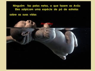 NinguémNinguém faz pelos netos, o que fazem os Avós:faz pelos netos, o que fazem os Avós:
Eles salpicam uma espécie de pó de estrelasEles salpicam uma espécie de pó de estrelas
sobre as suas vidassobre as suas vidas
Alex HaleyAlex Haley
 