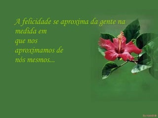 A felicidade se aproxima da gente na  medida em  que nos  aproximamos de  nós mesmos...  