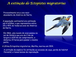 A extinção do Ectopistes migratorius


 Provavelmente era a ave mais
 abundante da América do Norte.


A população contine...