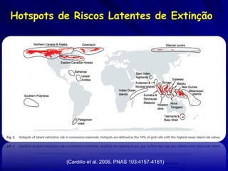 Hotspots de Riscos Latentes de Extinção




          (Cardillo et al. 2006. PNAS 103:4157-4161)
 