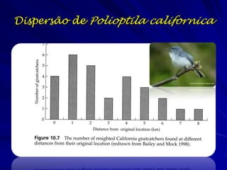 Dispersão de Polioptila californica
 