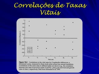 Correlações de Taxas
       Vitais
 