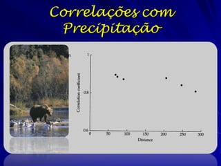 Correlações com
 Precipitação
 
