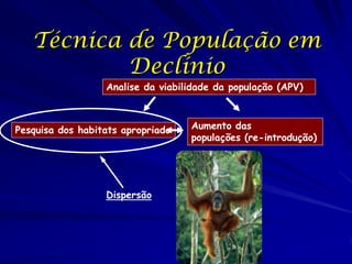 Técnica de População em
           Declínio
                  Analise da viabilidade da população (APV)



Pesquisa dos habitats apropriado   Aumento das
                                   populações (re-introdução)




                  Dispersão
 