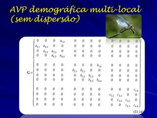 AVP demográfica multi-local
(sem dispersão)
 