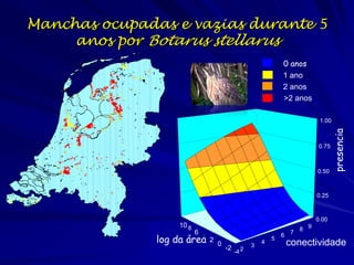 Manchas ocupadas e vazias durante 5
     anos por Botarus stellarus
                                                               0 anos
                                                               1 ano
                                                               2 anos
                                                               >2 anos

                                                                              1.00




                                                                                     presencia
                                                                             0.75



                                                                             0.50



                                                                             0.25



                                                                             0.00
                    10 8
                                                                       8 9
                           6                                       7
               log da área
                         4                                     6
                               2                           5
                                   0
                                       -2          3
                                                       4           conectividade
                                            -4 2
 
