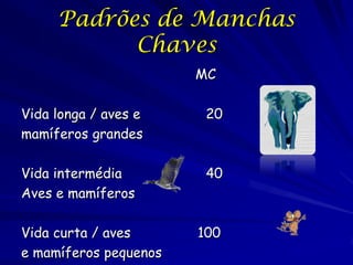 Padrões de Manchas
           Chaves
                       MC

Vida longa / aves e     20
mamíferos grandes

Vida intermédia         40
Aves e mamíferos

Vida curta / aves      100
e mamíferos pequenos
 