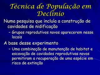Técnica de População em
          Declínio
Numa pesquisa que incluía a construção de
 cavidades de nidificação
  – Grupos reprodutivos novos aparecerem nesse
    locais
A base desse experimento
  – Uma combinação de manutenção de habitat e
    escavação de cavidades reprodutivas novas
    permitiram a recuperação de uma espécie em
    risco de extinção
 