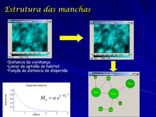 Estrutura das manchas




•Distancia da vizinhança
•Limiar de aptidão do habitat
•Função da distancia de dispersão




                               (  Dij ( c / b ) )
                  M ij  a e
 