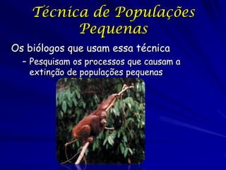 Técnica de Populações
          Pequenas
Os biólogos que usam essa técnica
  – Pesquisam os processos que causam a
    extinção de populações pequenas
 