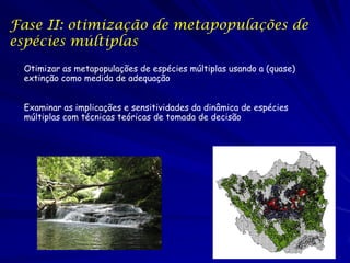Fase II: otimização de metapopulações de
espécies múltiplas
 Otimizar as metapopulações de espécies múltiplas usando a (quase)
 extinção como medida de adequação


 Examinar as implicações e sensitividades da dinâmica de espécies
 múltiplas com técnicas teóricas de tomada de decisão
 