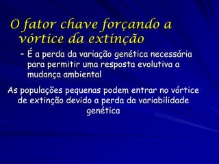 O fator chave forçando a
 vórtice da extinção
   – É a perda da variação genética necessária
     para permitir uma resposta evolutiva a
     mudança ambiental
As populações pequenas podem entrar no vórtice
  de extinção devido a perda da variabilidade
                   genética
 