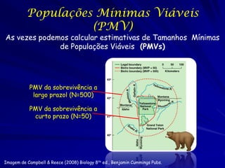 Populações Mínimas Viáveis
                    (PMV)
As vezes podemos calcular estimativas de Tamanhos Mínimas
              de Populações Viáveis (PMVs)




           PMV da sobrevivência a
            largo prazol (N=500)

           PMV da sobrevivência a
            curto prazo (N=50)




Imagem de Campbell & Reece (2008) Biology 8th ed., Benjamin Cummings Pubs.
 