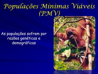 Populações Mínimas Viáveis
           (PMV)


As populações sofrem por
   razões genéticas e
      demográficas
 