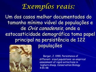 Exemplos reais:
Um dos casos melhor documentados do
 tamanho mínimo viável de populações e
      de Ovis canadensis, onde a
estocasticidade demográfica toma papel
    principal na persistência de 122
               populações

                  Berger, J. 1990. Persistence of
              different- sized populations: an empirical
              assessment of rapid extinctions in
               bighorn sheep. Conservation Biology
              4:91-98
 