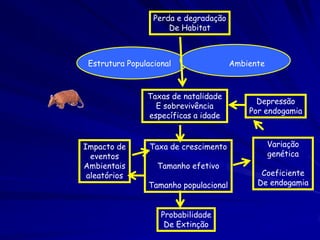 Perda e degradação
                      De Habitat



 Estrutura Populacional                 Ambiente



                Taxas de natalidade
                                              Depressão
                  E sobrevivência
                                            Por endogamia
                específicas a idade


Impacto de       Taxa de crescimento               Variação
  eventos                                          genética
Ambientais         Tamanho efetivo
 aleatórios                                    Coeficiente
                 Tamanho populacional         De endogamia



                    Probabilidade
                     De Extinção
 