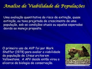 Analise de Viabilidade de Populações

Uma avaliação quantitativa do risco de extinção, quase
extinção, ou taxa projetada de crescimento de uma
população, sob as condições atuais ou aquelas esperadas
devido ao manejo proposto.




O primeiro uso de AVP foi por Mark
Shaffer (1978) para avaliar a viabilidade
da população de Ursus arctos em
Yellowstone. A APV desde então virou o
alicerce da biologia de conservação.
 