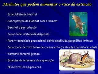 Atributos que podem aumentar o risco da extinção

  •Especialista de Habitat

  •Sobreposição de Habitat com o Homem

  •Sensível a perturbação

  •Capacidade limitada de dispersão

  •Rara — densidade populacional baixa, amplitude geográfica limitada

  •Capacidade de taxa baixa de crescimento (restrições da historia vital)

  •Tamanho corporal grande

  •Espécies de interesse de exploração

  •Níveis tróficos superiores
 
