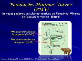 Populações Mínimas Viáveis
                    (PMV)
As vezes podemos calcular estimativas de Tamanhos Mínimas
           ...